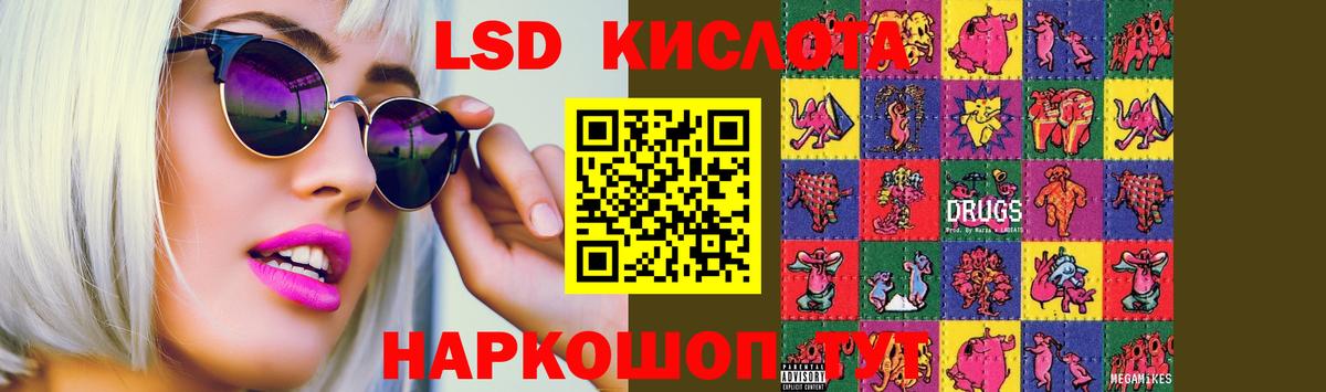 Псилоцибиновые грибы Электрогорск