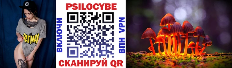 сколько стоит  Электрогорск  Галлюциногенные грибы прущие грибы 