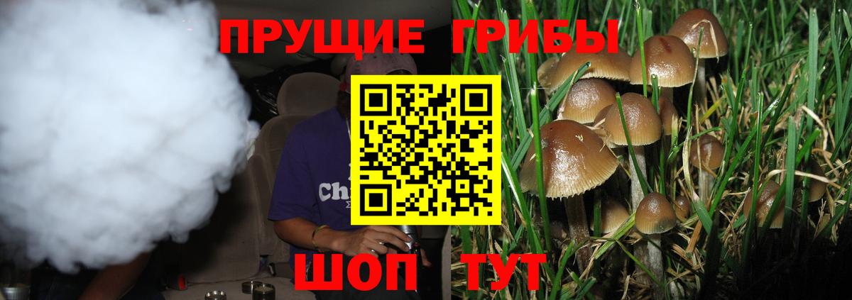 Галлюциногенные грибы GOLDEN TEACHER Электрогорск