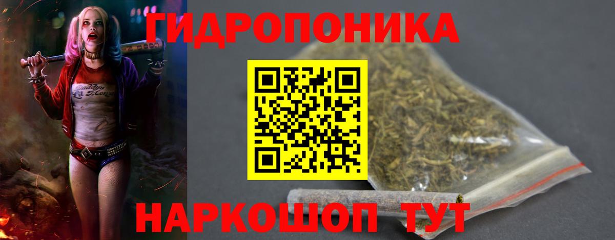 Каннабис планчик Электрогорск